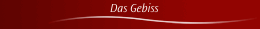 Das Gebiss