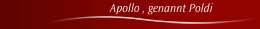 Apollo , genannt Poldi