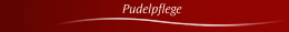 Pudelpflege