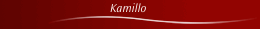 Kamillo